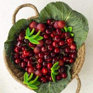 HRYZÁTKO ČEREŠŇA MERY - Image 3