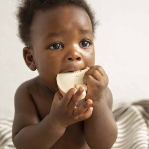HRYZÁTKO HRÍB MANOLO - Image 4