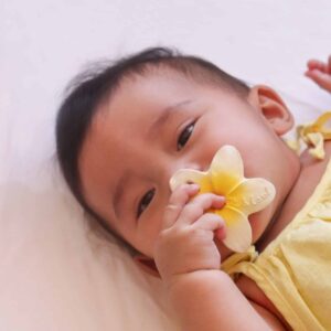 MINI HRYZÁTKO HAWAII THE FLOWER - Image 3