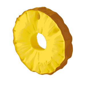 HRYZÁTKO ANANAS THE PINEAPPLE - Image 22