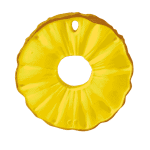 HRYZÁTKO ANANAS THE PINEAPPLE - Image 21