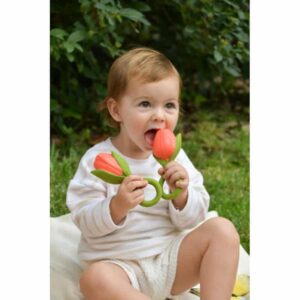 HRYZÁTKO TULIPÁN THEO THE TULIP - Image 9