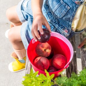 VEDRO SO SITKOM QUUT BUCKI CHERRY/BANANA PINK - Image 4